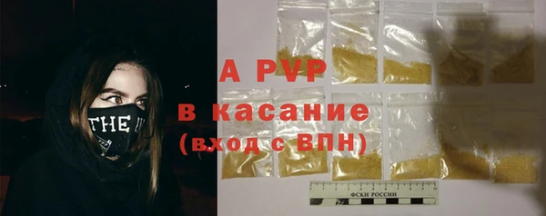 PSILOCYBIN Вяземский