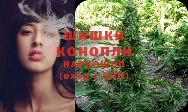 PSILOCYBIN Вяземский