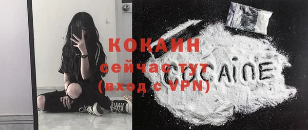 PSILOCYBIN Вяземский