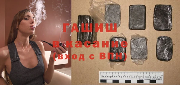 индика Пестово