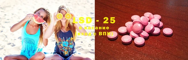 PSILOCYBIN Вяземский