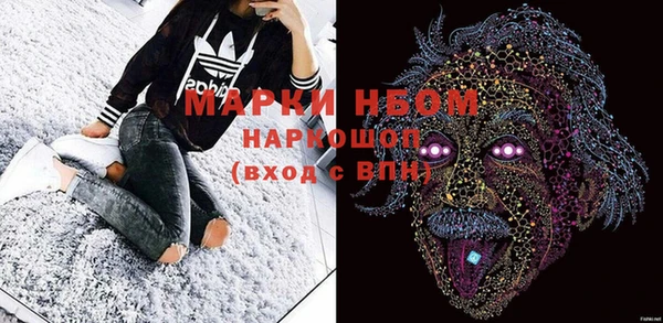 PSILOCYBIN Вяземский